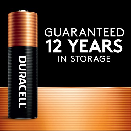 Duracell CopperTop Alkaline Batteries with Duralock Power Preserve Technology - Picture 3 of 6