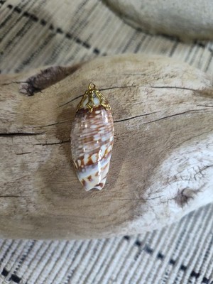  Vintage Sea Shell Necklace Pendant Olive Shell Natural Beach Shells. 