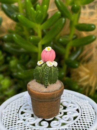 Maceta miniatura de cactus con flores rosa y blanca para casa de muñecas FAIRY GARDEN ~ Compra 3 ahorra $6 - Imagen 1 de 2