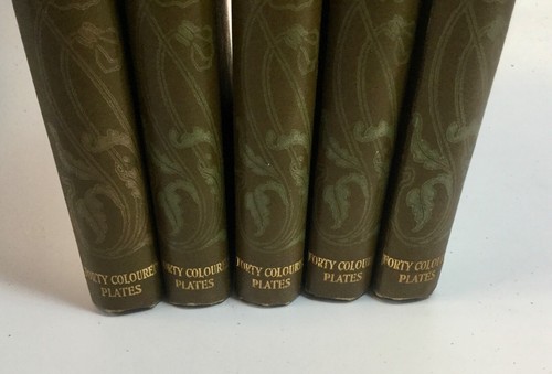 Hibberd FAMILIAR GARDEN FLOWERS Five Volumes 1906 - Picture 3 of 12