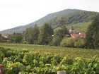 Bild 17 von 17