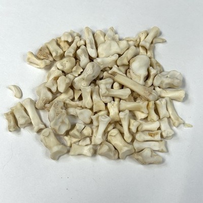 Lot Of 100 Real Taxidermy Assorted Small Coyote Foot Bones Cleaned Unique #4044