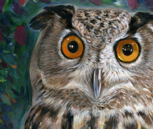 Photo Digital Product Wallpaper Background Image Picture Owl nature- forest bird - Picture 2 of 5
