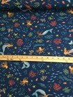 Foto 3 di 5