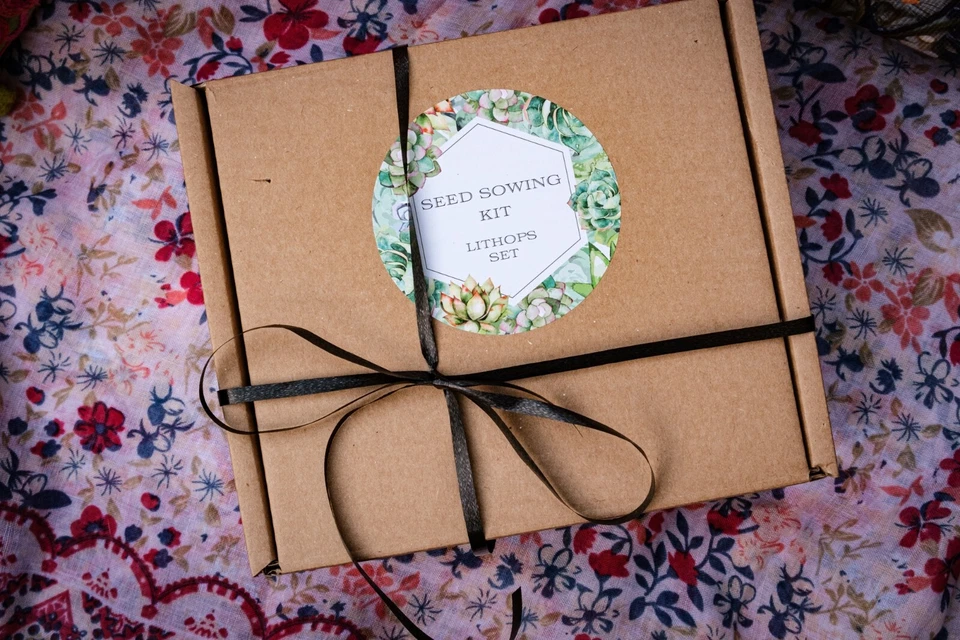 Seed Sowing Kit-Choose from 3 Types-Lithops/Cacti/Succulents- Thoughtful Gift - Image 3 of 4