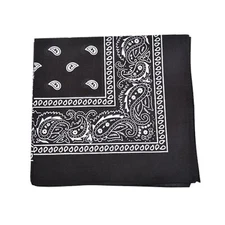Extra Large Polyester Paisley Bandanas 27 x 27 In - 6 Pack - Party and