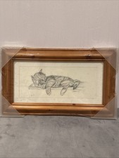 Tabby Cat Framed Print Pencil Illustration 38x23cm Steve O'Connell Black White