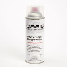   Flower Spray paint 400ml for fresh and dried flowers OASIS® In Various Colours
