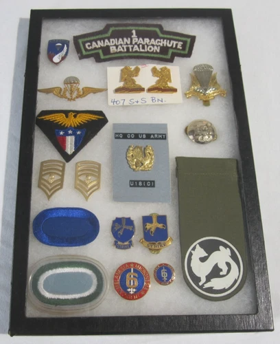 Vintage Military Pins Badges Various Countries US WW2 Canada Israel Korean Case