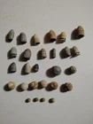 Lot Of 27  Fired Civil War Bullets And Relics Shiloh Area  Tn