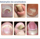Bild 4 von 7