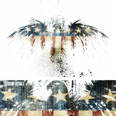 48W''x32H'' EAGLES BECOME by ALEX CHERRY - AMERICA USA FLAG STATES MAGA CANVAS