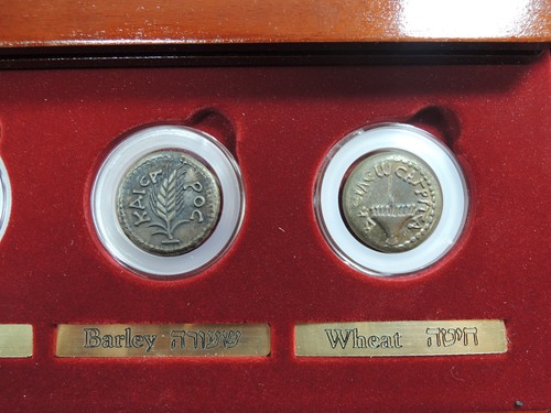The Seven Species Coins 5 Bronze 2 Pure Silver 27mm Ea. W/box and COA - Picture 8 of 11