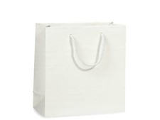 Small White Matte Paper Cord Handle Gift Bag