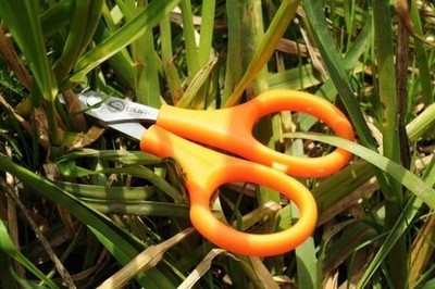 Guru Rig Scissors Schere für Schnüre Geflochten Fluorocarbon Monofil