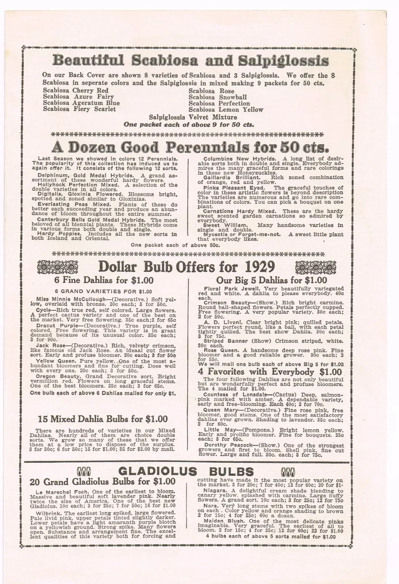 Lippincott seeds : 1914 . gorous growth and pro-ducing heads of  flowersdouble the size of the oldsort. Pkt., 200 seeds, 5c. FEVERFEW.  DOUBLE, 3IATRICARIAE X I M I A—A fine old-fashioned bedding