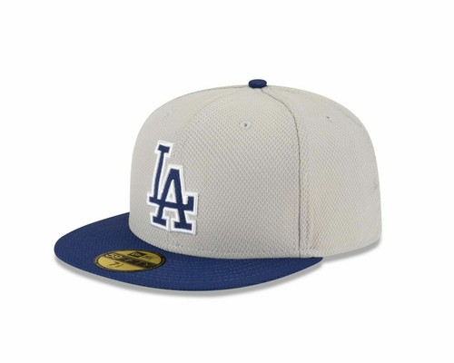 gray dodgers hat