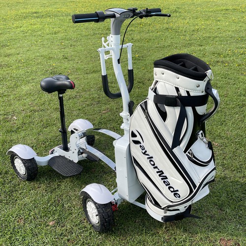 48v Li-Battery Folding 4 Wheels Golf Push Cart Electric Scooter 2400W - Picture 5 of 6