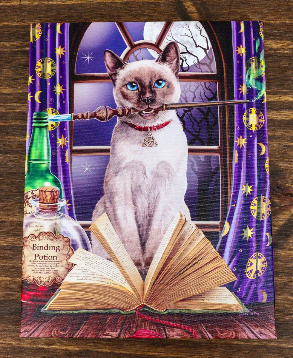 Cat with magic wand cheap