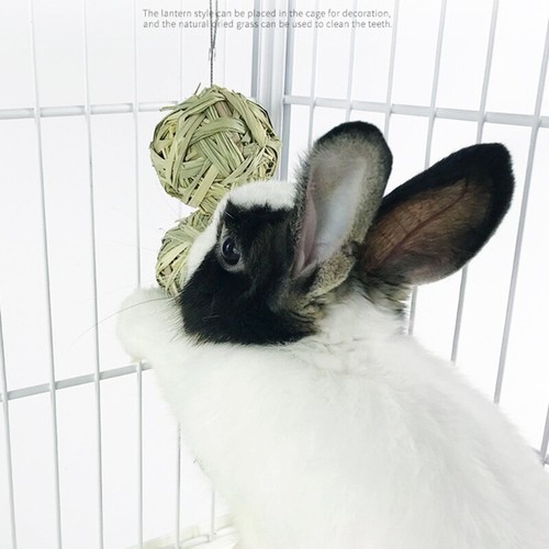Rabbit Chew Toy Natural for Hay Balls Edible Toys for Bunny Gerbil Ra - Picture 4 of 8