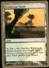 WINDSWEPT HEATH - 2004 JULIEN  WORLD CHAMPIONSHIP DECKS MAGIC THE GATHERING LP
