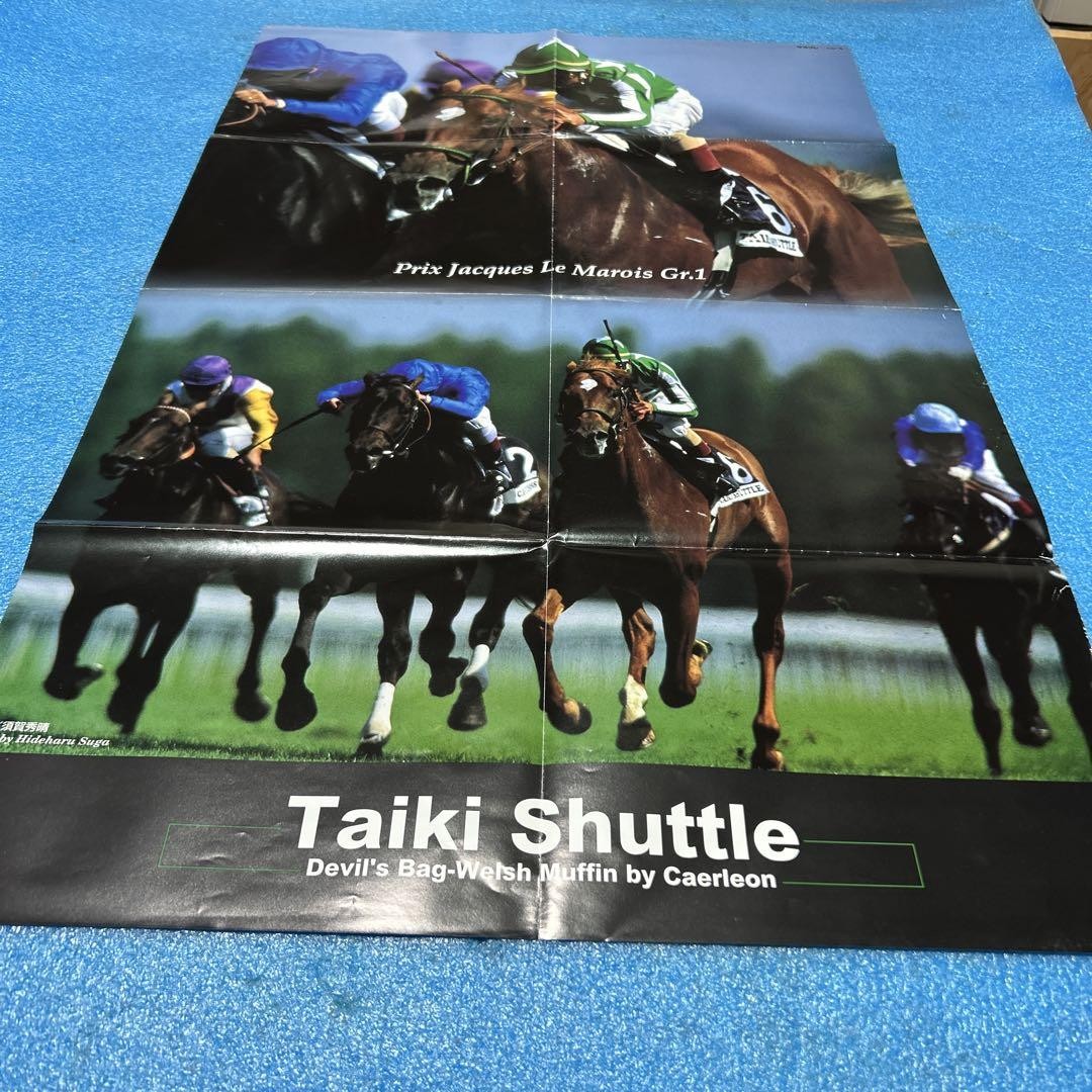 THE GREATEST HORSES 100 ポスター 希少 競馬 JRA THE GREATEST HORSES 100 ポスター 希少 競馬 JRA
