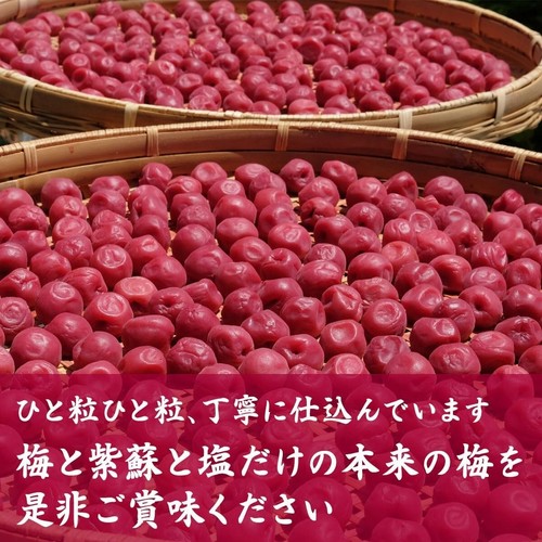 Kishu Nanko Umeboshi Pickled plums No additives Colourless 2kg Japan Express - Picture 8 of 8