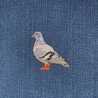 Rock Dove Pigeon Applique Patch - Embroidered Bird Badge 2.5" (Iron On)