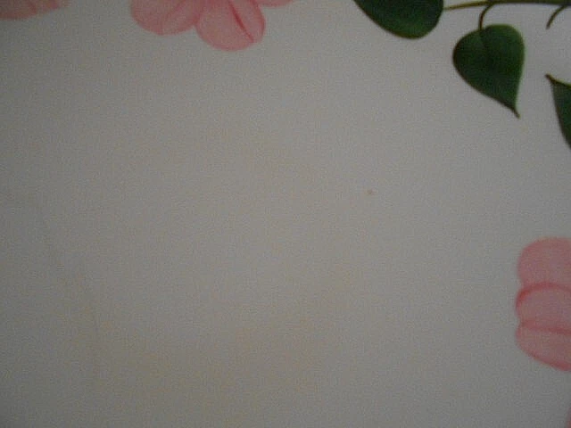 Imagen 5 de 5