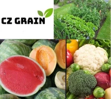 Vegetable Garden Seed Kit Tomato, Carrot, Lettuce, Bean, Cucumber, Onion