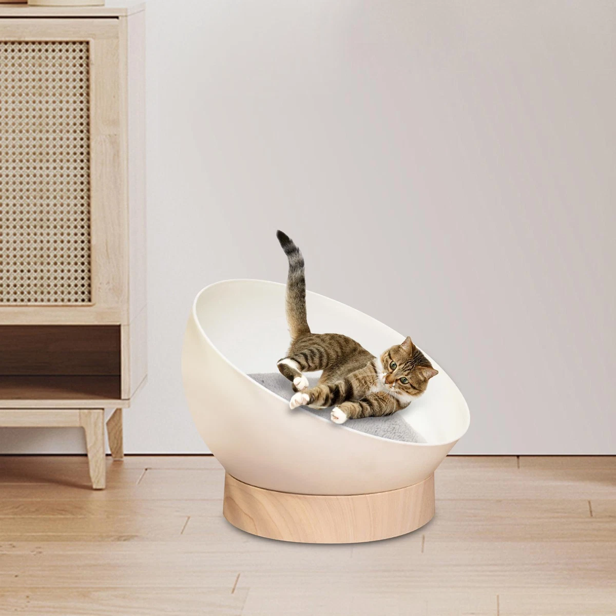 Summer cat bed sale
