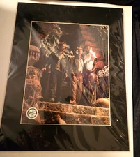 Indiana Jones - Collectable Movie Photo -Official Pix-Harrison Ford -Matted 8x10
