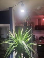 15W LED Grow Light for Indoor Plants - 2Pack, 200W Equivalent Full Spectrum L...