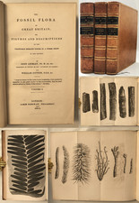 1831-33 Lindley, Hutton FOSSIL FLORA OF GREAT...