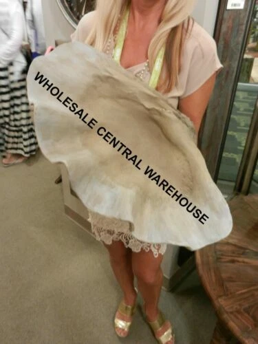 Uttermost Resin Modern Decorative Plates & Bowls