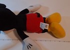 Foto 9 di 9