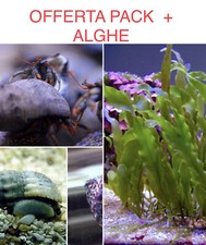 Speciale Pack Pulitori Detritivori Alghivori + ALGHE FILTRANTI  Acquario Marino