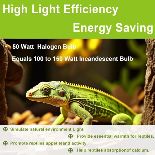 UVB UVA Reptile Light Bulb 50W for Reptiles and Amphibians Warm White  - Picture 5 of 5