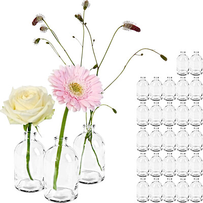 30x Mini Vase Väschen Glas Flasche Deko Dekoration Hochzeit Blumenvase klein