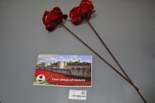 Paul Cummins Limited Edition Tower of London Pottery Poppy 2014 2 Piece!