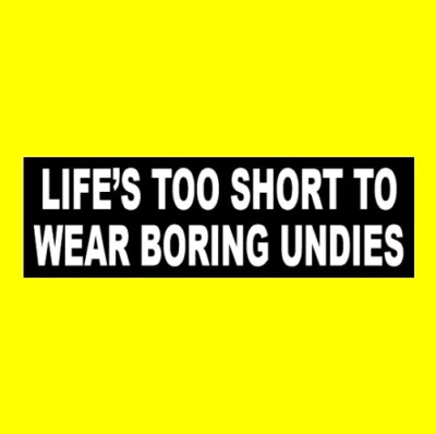 Funny ''LIFE'S TOO SHORT TO WEAR BORING UNDIES'' underwear decal BUMPER STICKER