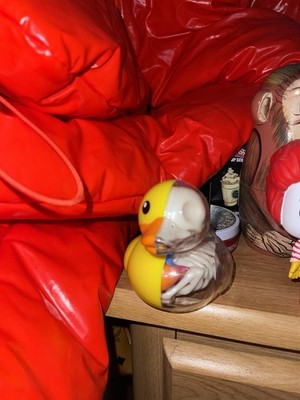 4D DUCK ANATOMY MODEL JASON FREENY