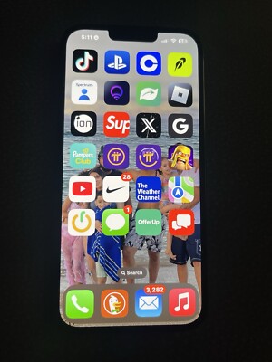 iPhone 13 Pro Max with TikTok app