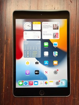 Apple iPad mini 4 A1538 16GB, Wi-Fi, 7.9 in - Space Gray - Free Shipping