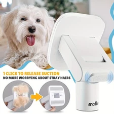 High Quality Modern Pleasant 300W Pet Grooming Kit with Vacuum Blow Dry Function