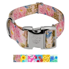 Country Brook Petz® HossFit Jr Wide Premium Dog Collar (Spring Collection)