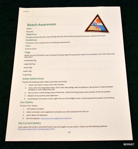 BROWNIE LOCAL TRY-IT BADGE AND REQUIREMENTS - BEACH AWARENESS - Picture 3 of 4
