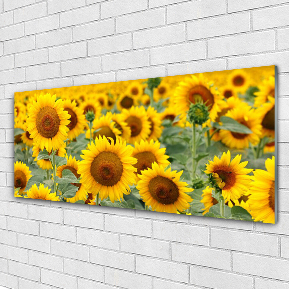 Tableaux sur verre acrylique haut de gamme Tournesol Floral 125x50 cm