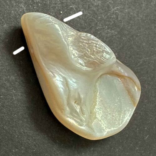 DIVERSE 23-32 MM PERLMUTT MUSCHELN OBEN GEBOHRT ORIGINALFOTO - Bild 10 von 10