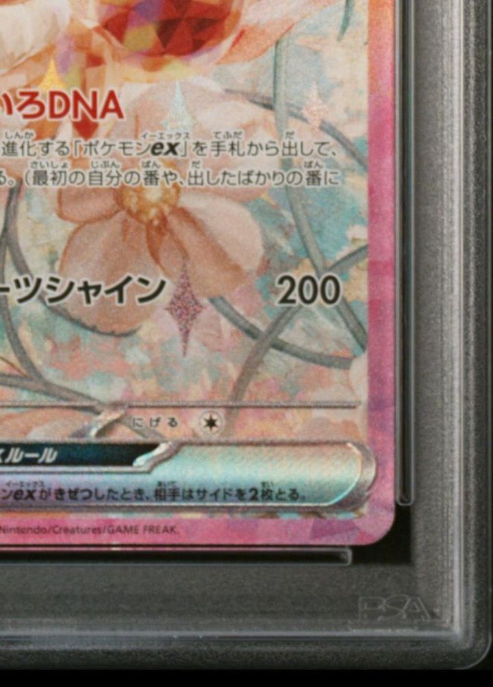 PSA 10 Eevee ex SAR 223/187 Terastal Festival sv8a 2024